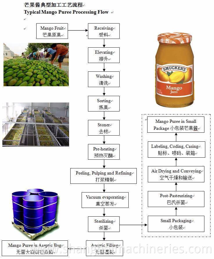 Berry jam/blueberry paste production line